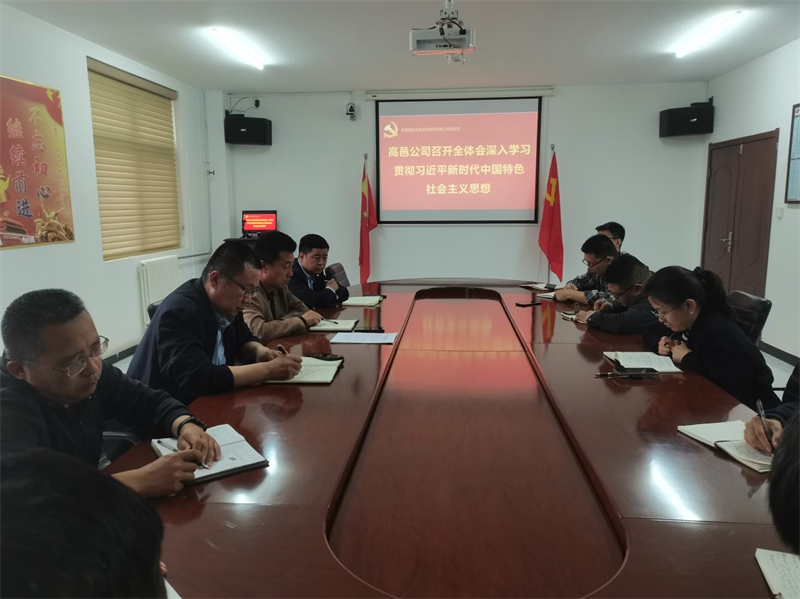 （一）公司所属各单位迅速传达学习新型能源公司主题教育动员会精神