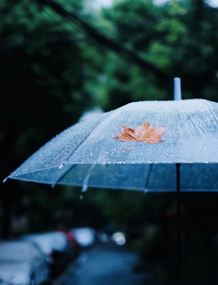 赵子涵 诗歌——《秋雨》